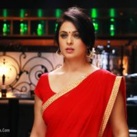 Anjana Sukhani Photos- laal Ishq marathi Movie